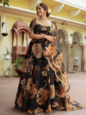 Brown Organza Lehenga Set